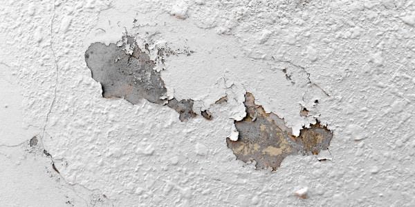 Pintar Fachadas de Naves Industriales, Fábricas y Almacenes en Leganés · Pintura Antihumedad / Antimoho para Humedades / Moho